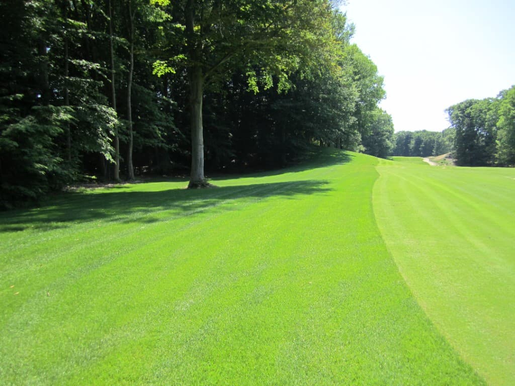 Established fairway after hydroseeding grow-in at American Dunes — view 7