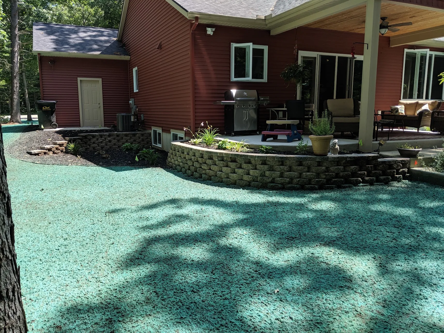 Backyard patio with hydroseeding